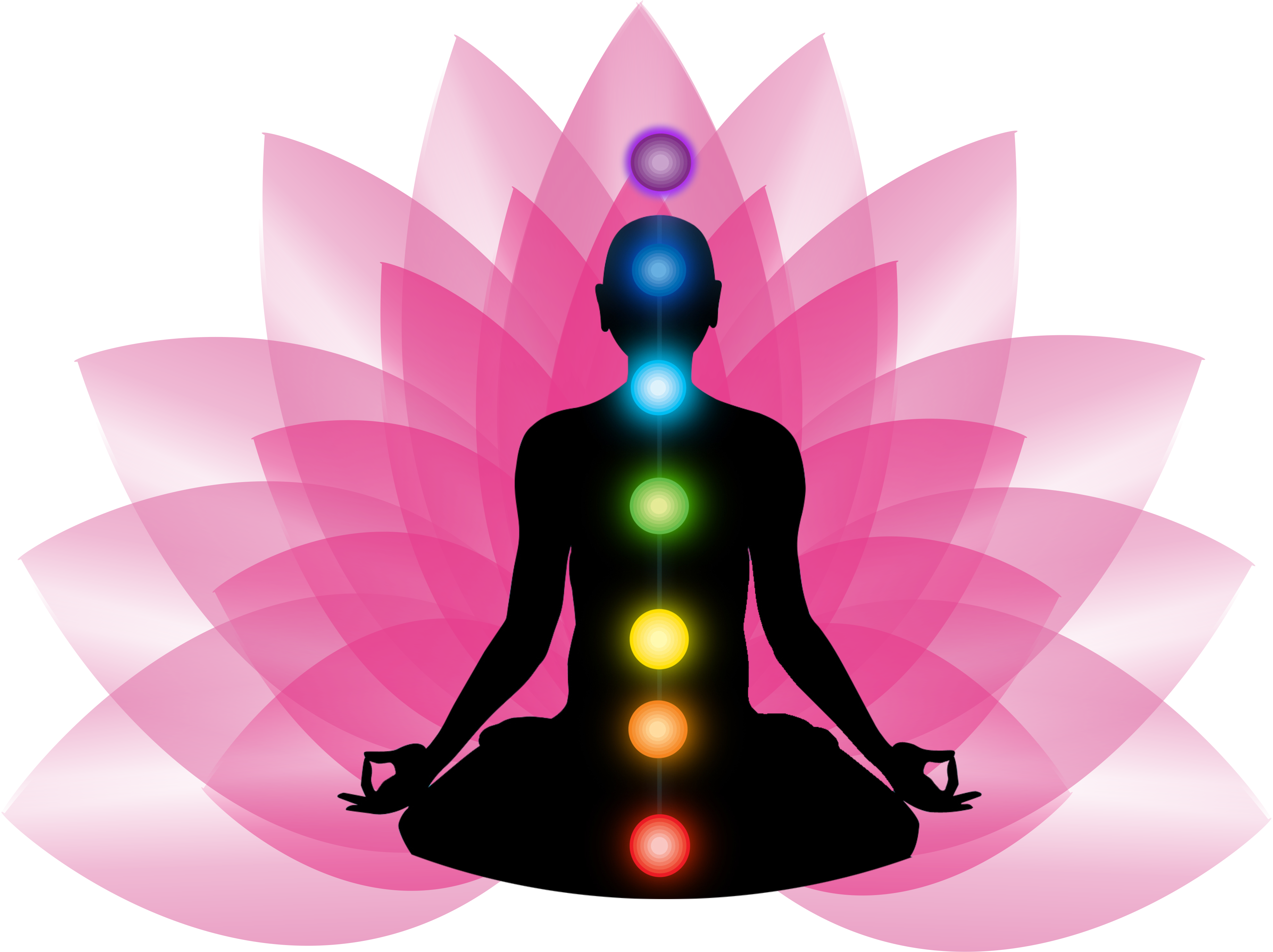 aura en chakra, kleuren, lotus, roze, paars, groen, gee, rood, blauw, oranj